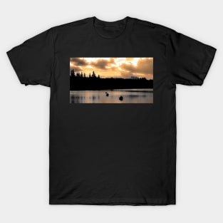 Vintage style at dusk. T-Shirt